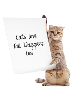 Cats Love Tail Waggerz too!