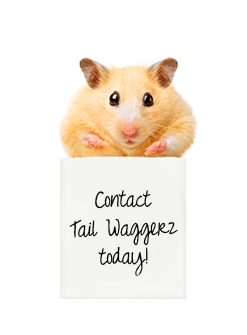 Contact Tail Waggerz Today!